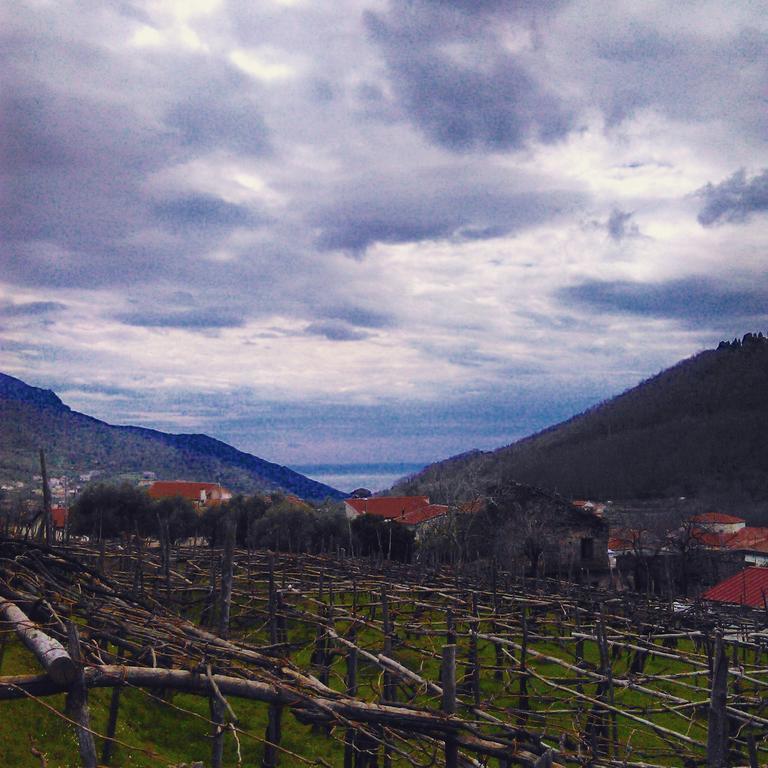 Agriturismo Mare E Monti Tramonti Εξωτερικό φωτογραφία