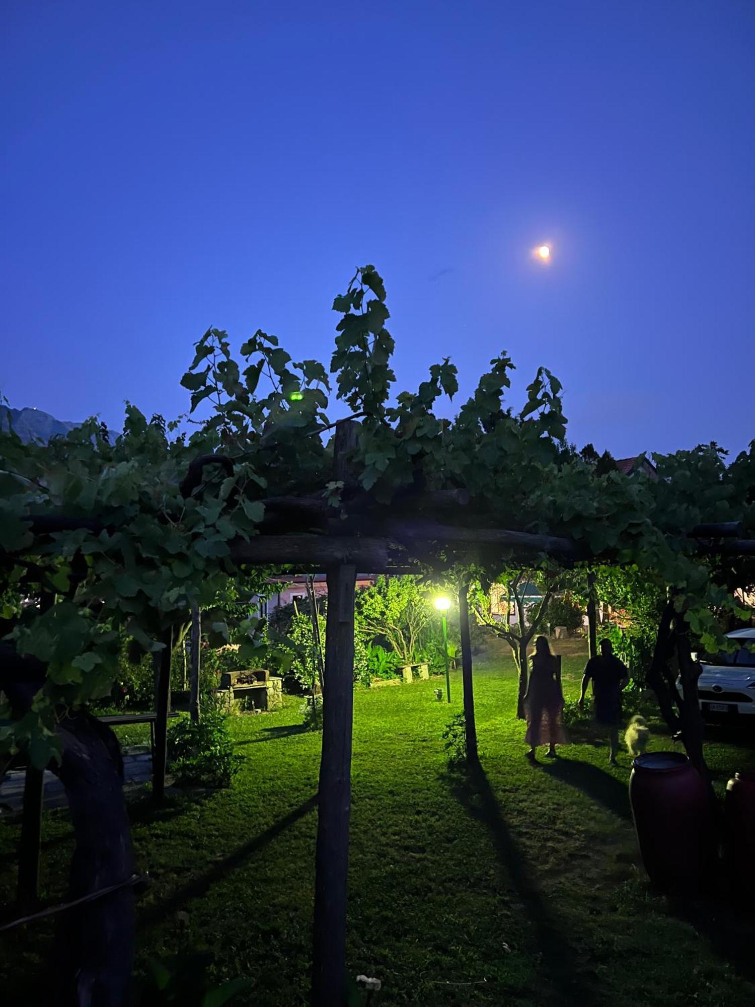 Agriturismo Mare E Monti Tramonti Εξωτερικό φωτογραφία
