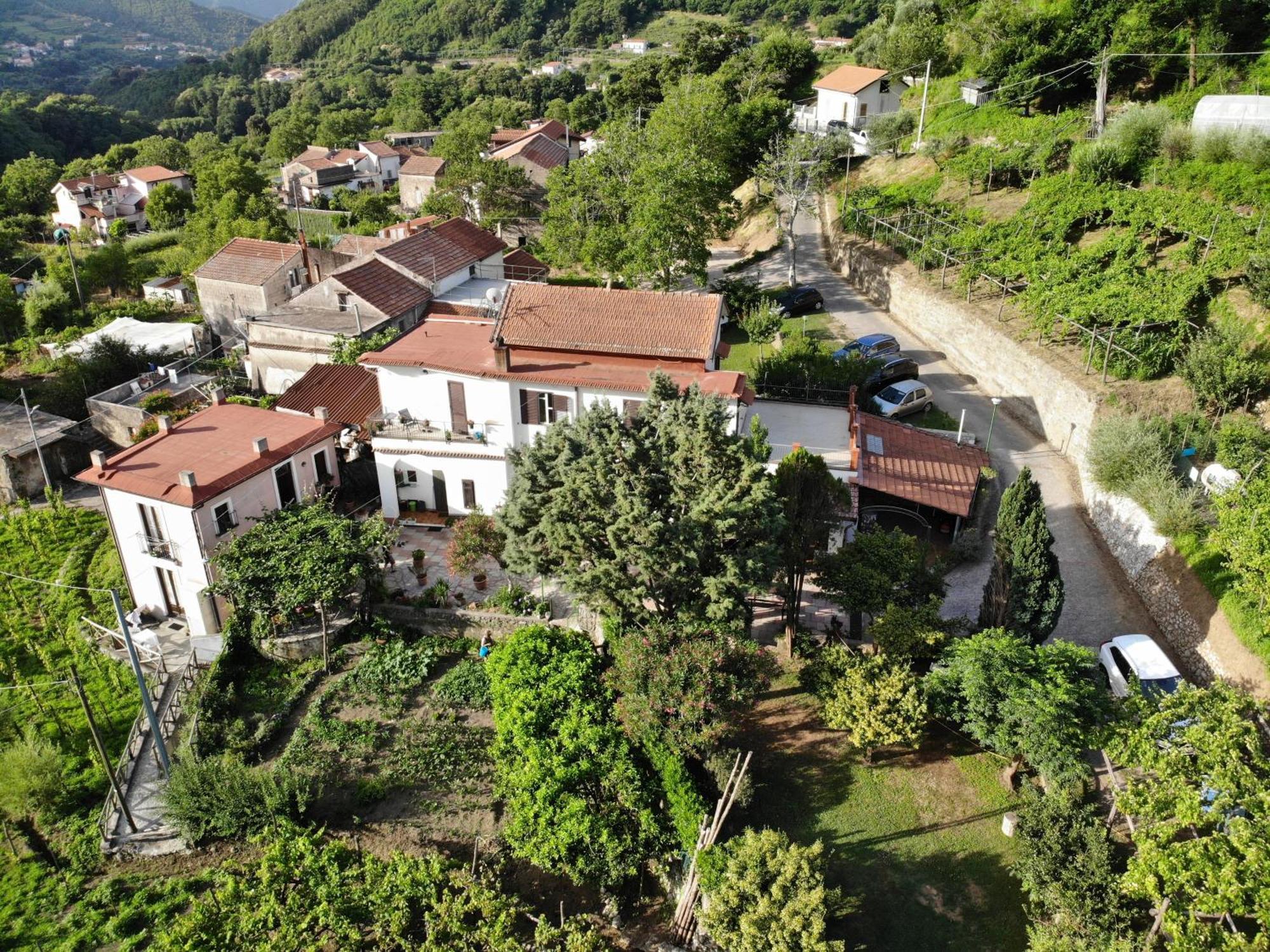 Agriturismo Mare E Monti Tramonti Εξωτερικό φωτογραφία