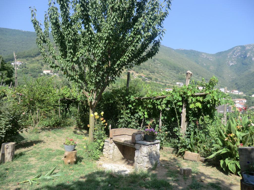 Agriturismo Mare E Monti Tramonti Εξωτερικό φωτογραφία