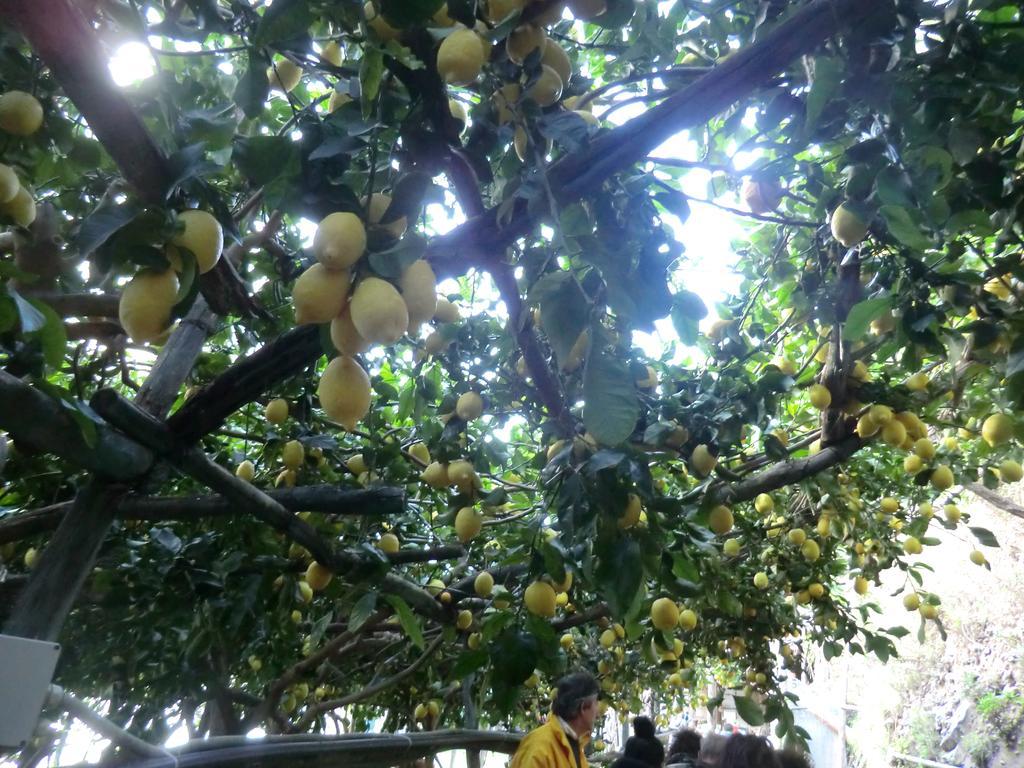 Agriturismo Mare E Monti Tramonti Εξωτερικό φωτογραφία